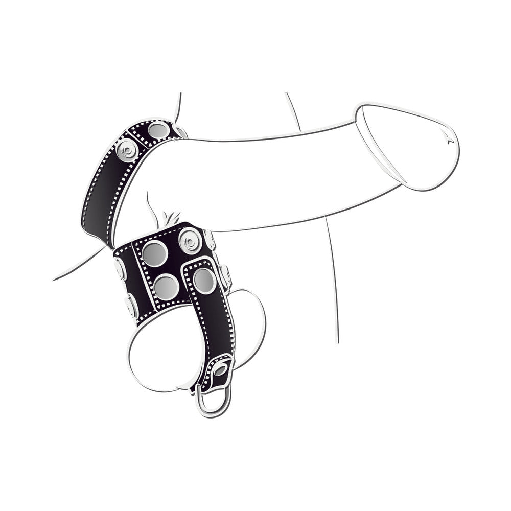 Ballgear Ball Stretcher W/Separator & D-Ring