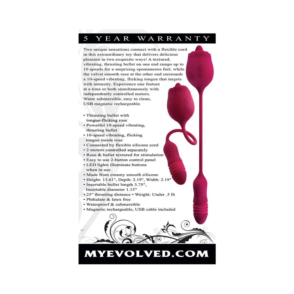 Evolved Wild Rose - Red