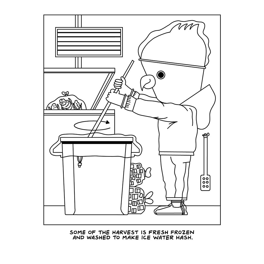 A Visit To The Cannabis Farm Coloring Book