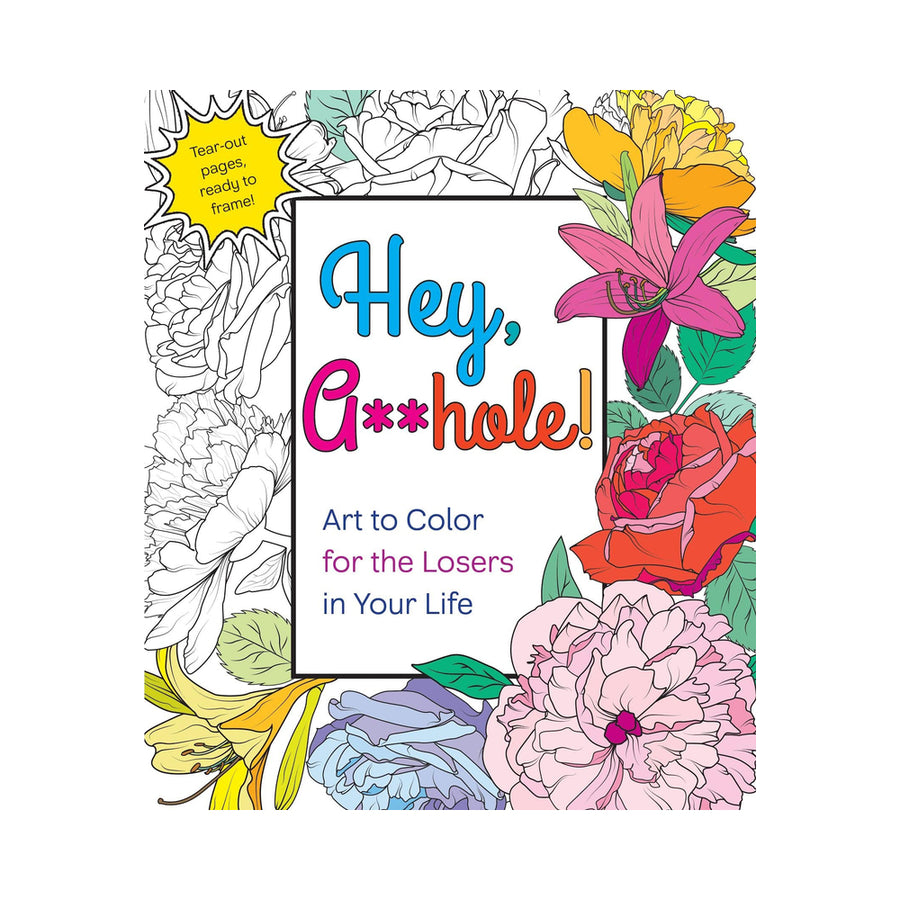Hey, A**hole Coloring Book