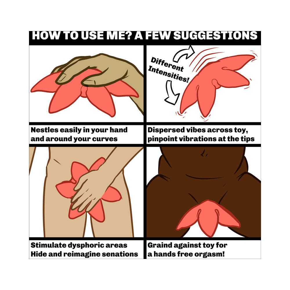 Cute Little Fuckers Starsi - Rose