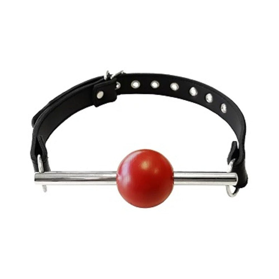 Ball Gag - Black With Removable Red Ball And Stainless Steel Rod-blank-Sexual Toys®