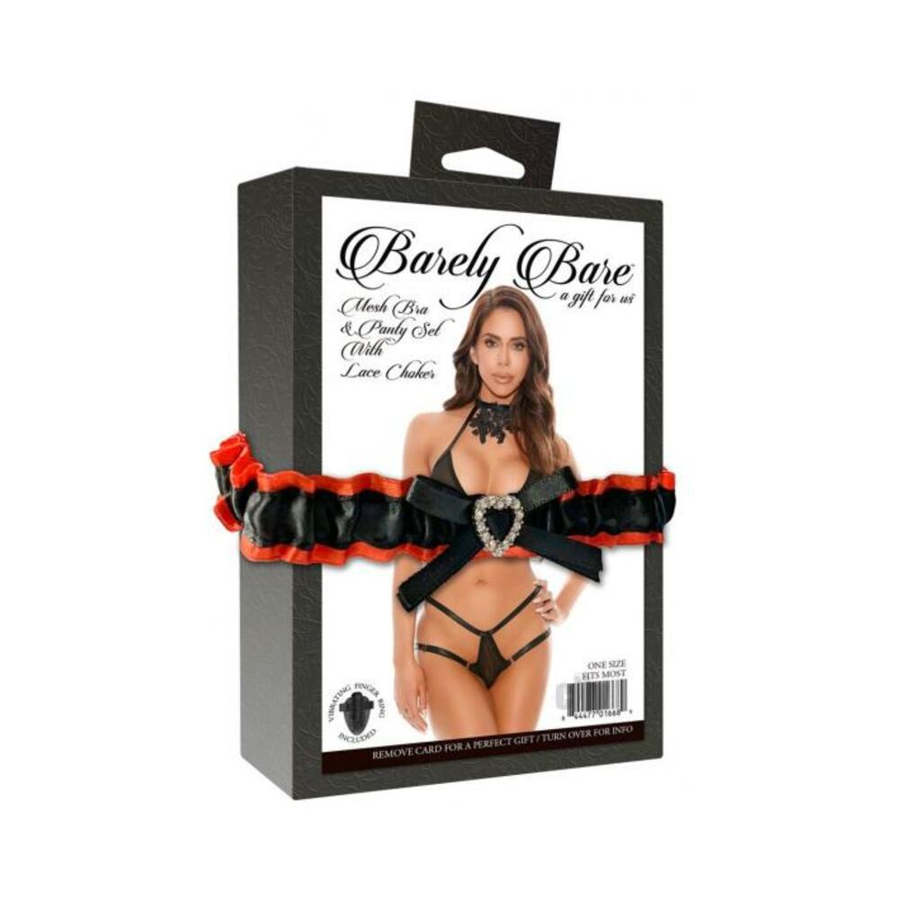 Barely Bare Mesh Bra & Panty Set With Lace Choker Black O/s-blank-Sexual Toys®