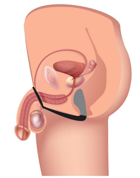 Explorer II Prostate Stimulator & Cock Ring Black-Prostatic Play-Sexual Toys®