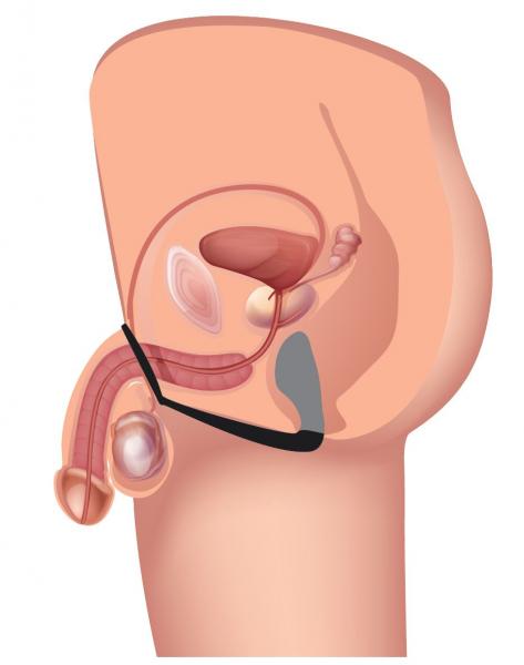 Explorer II Prostate Stimulator &amp; Cock Ring Black-Prostatic Play-Sexual Toys®