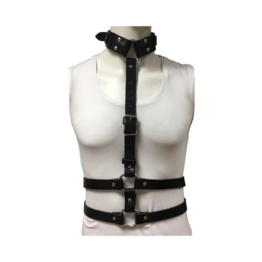 Female Chest Harness With Choker - Black-blank-Sexual Toys®
