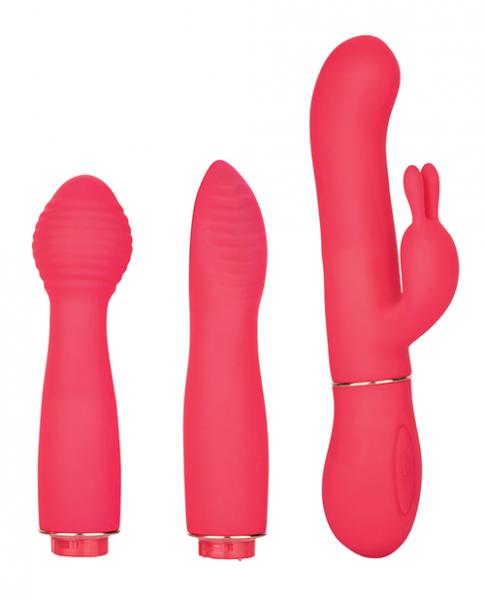 In Touch Dynamic Trio Pink Vibrator Kit-In Touch-Sexual Toys®