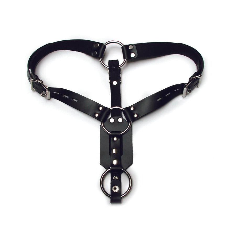 Kinklab Anal Plug Harness With Cock Ring-Stockroom-Sexual Toys®