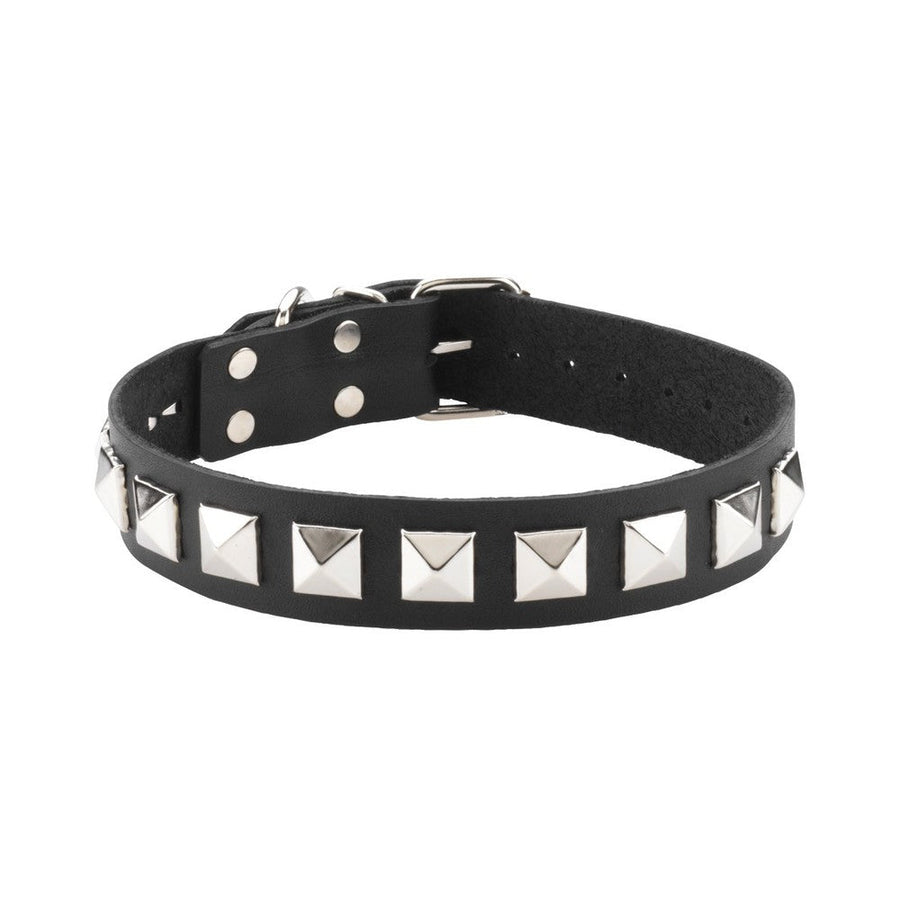 Leather Collar 1 Inch With Assorted Studs-blank-Sexual Toys®