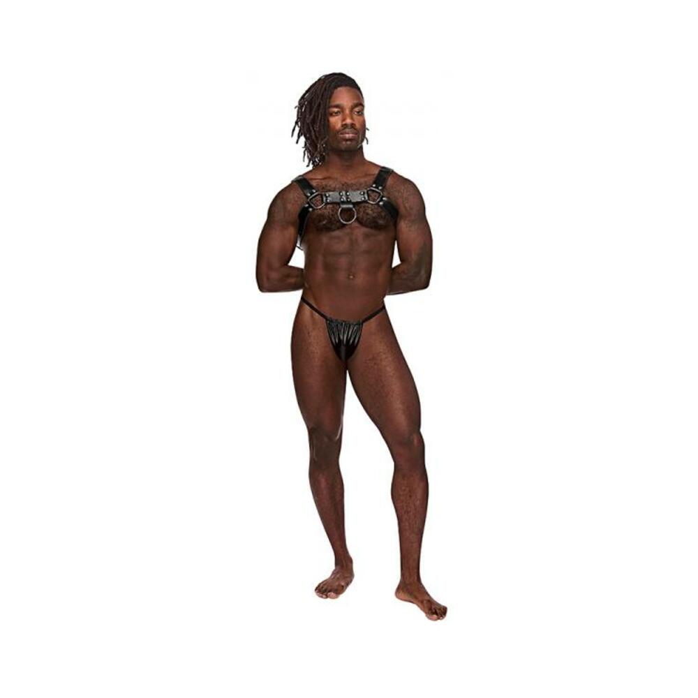 Mp Leather Aries Black Os-blank-Sexual Toys®