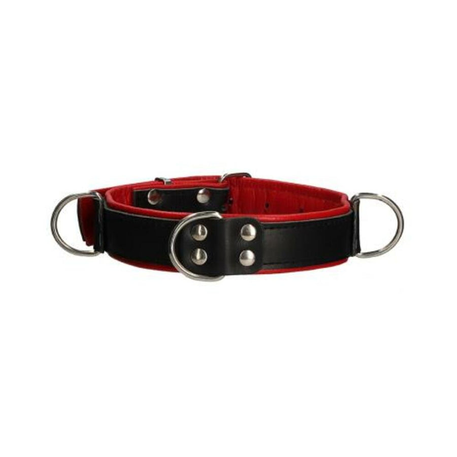 Premium Leather Bondage Collar - Black/red-Shots-Sexual Toys®