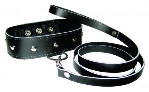 Sportsheets Leather Leash and Collar-blank-Sexual Toys®