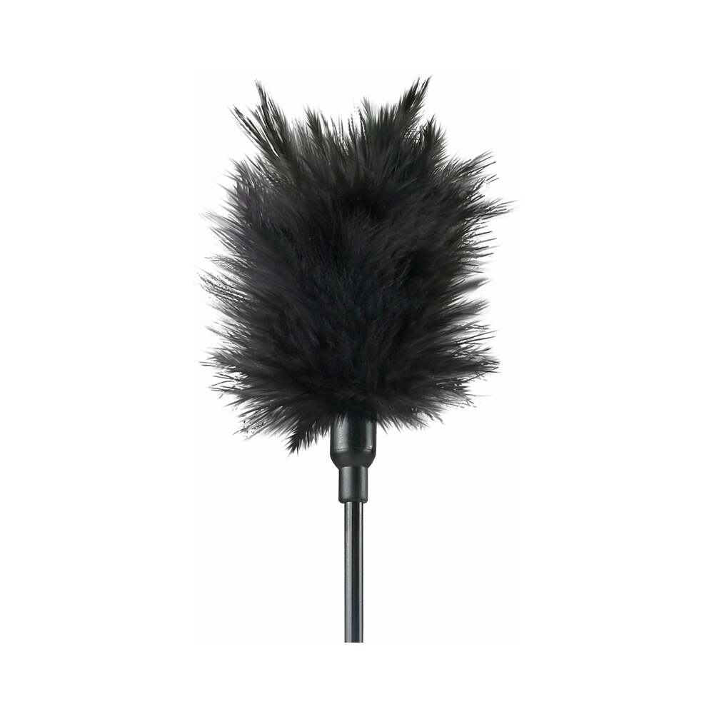 Fetish Fantasy Teaze And Please Kit
