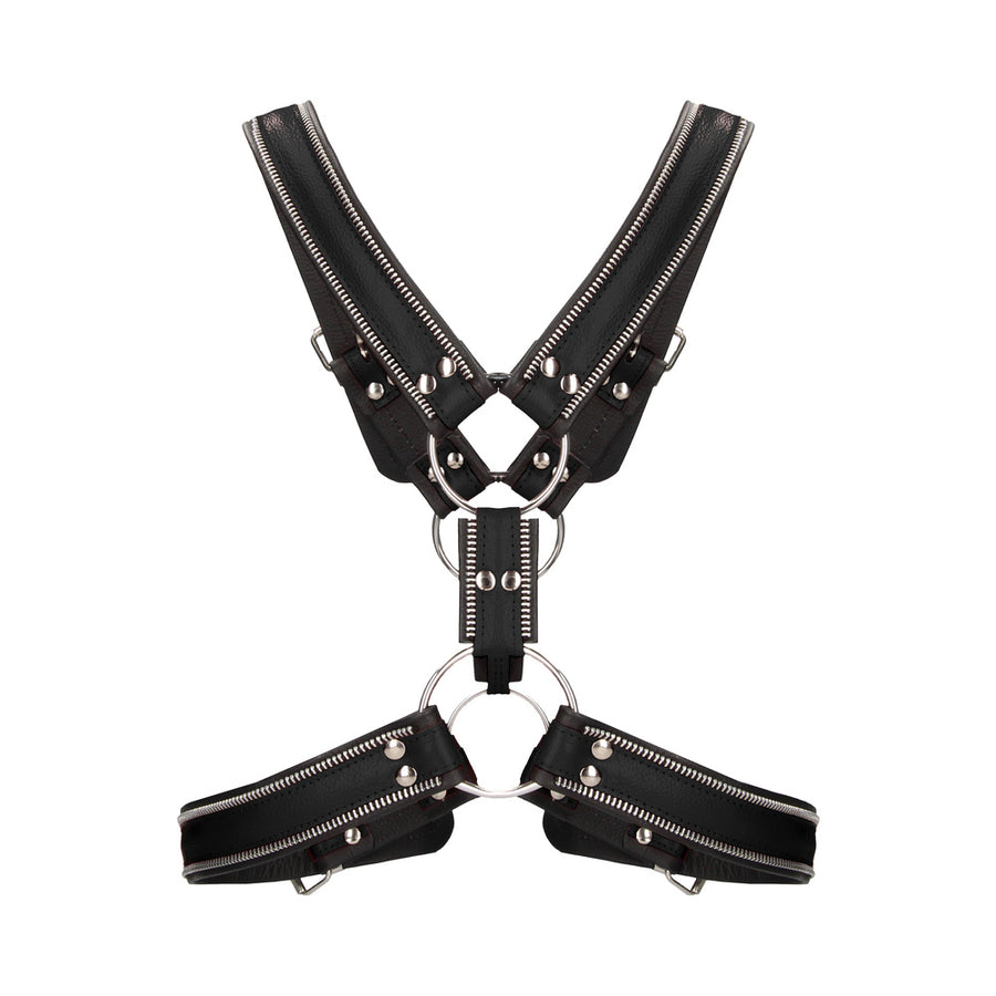 Premium Leather O-ring Zipper Series Bulldog Harness S/m Black