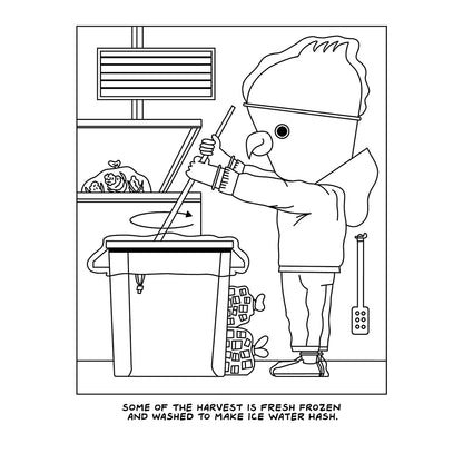 A Visit To The Cannabis Farm Coloring Book