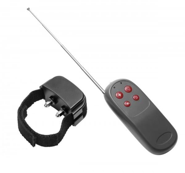 C*ck Shock Remote CBT Electric C*ck Ring-Master Series-Sexual Toys®