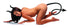Devil Tail Anal Plug And Horns Set-Tailz-Sexual Toys®