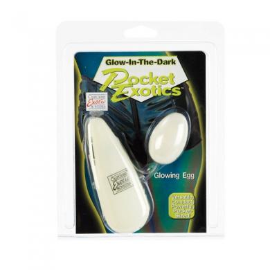 Glow in the dark vibrating egg-blank-Sexual Toys®