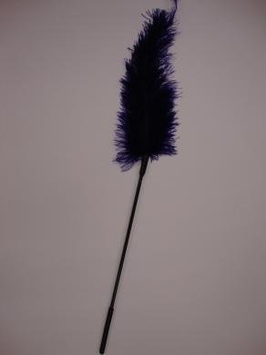Ostrich feather ticklers -Purple-blank-Sexual Toys®
