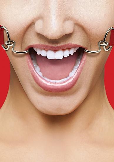 Ouch Hook Gag with Leather Straps O/S-Shots-Sexual Toys®