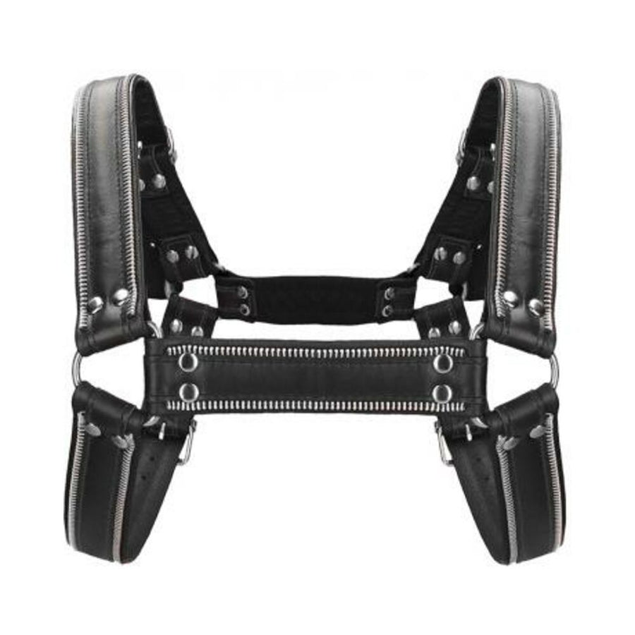 Premium Leather D-ring Zipper Series Bulldog Harness L/xl Black-Shots-Sexual Toys®